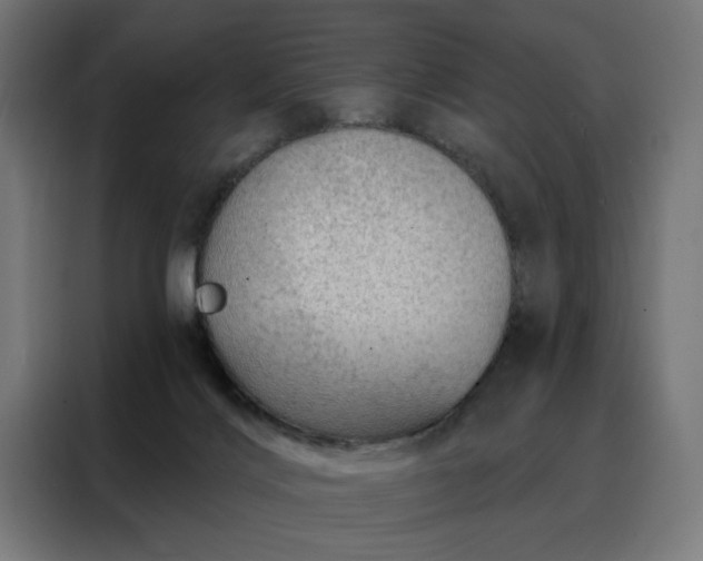X0000088160028200705221610