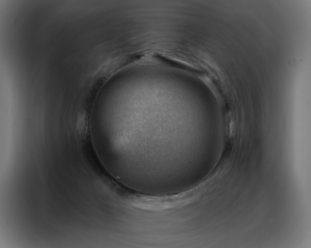 X0000088160029200705221610