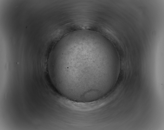 X0000088160030200705221610