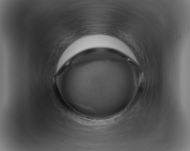 X0000088160031200705221610