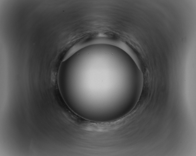 X0000088160033200705221610