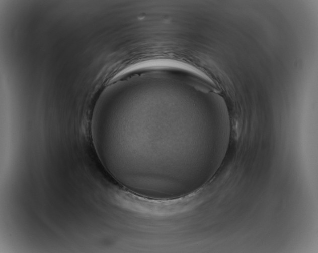 X0000088160035200705221610