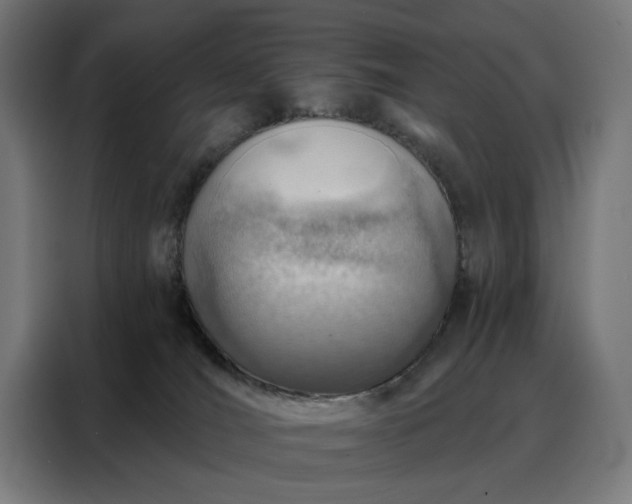 X0000088160036200705221610