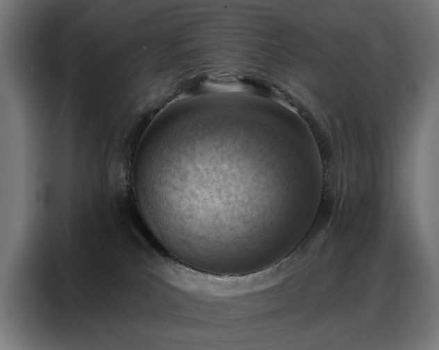 X0000088160039200705221610