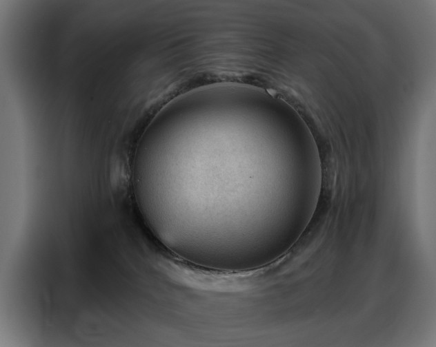 X0000088160040200705221610