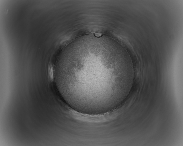 X0000088160042200705221610