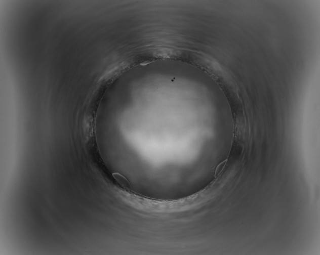 X0000088160043200705221610
