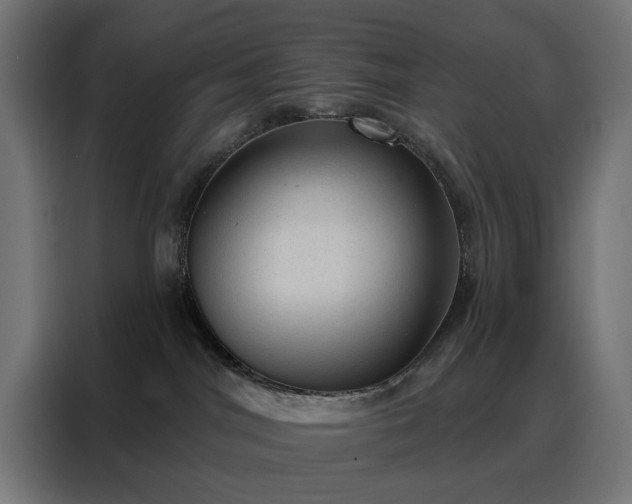 X0000088160044200705221610