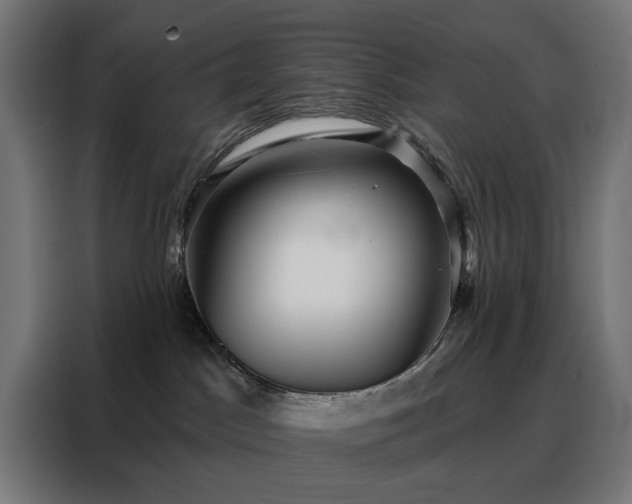 X0000088160045200705221610