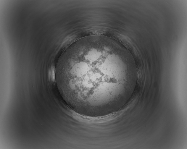 X0000088160046200705221610