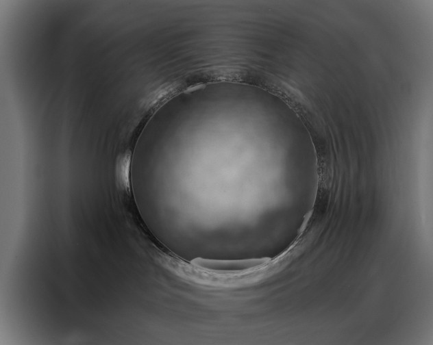 X0000088160047200705221610