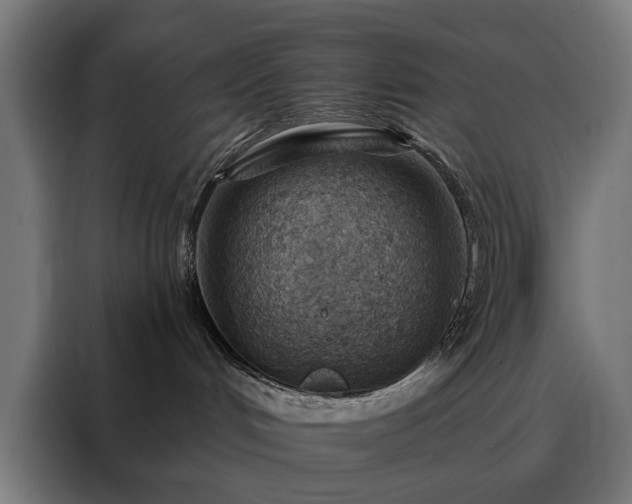 X0000088160048200705221610