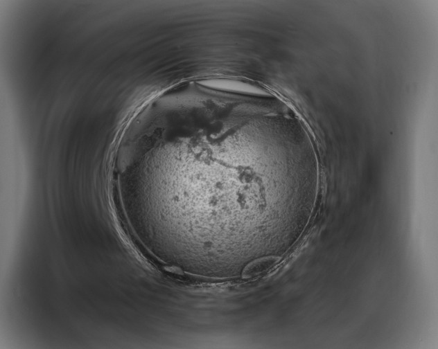 X0000088160049200705221609
