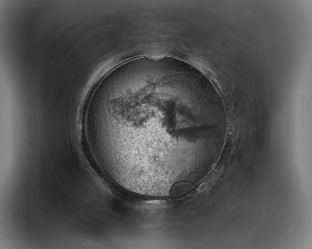 X0000088160053200705221609