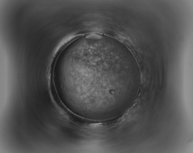 X0000088160054200705221609