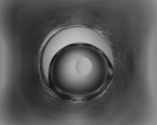 X0000088160056200705221609