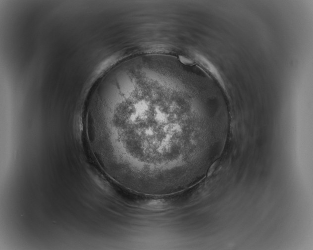 X0000088160059200705221609