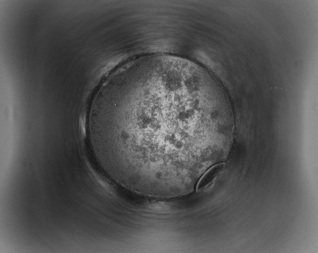 X0000088160062200705221609