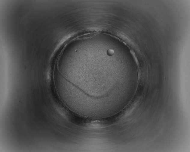 X0000088160064200705221609