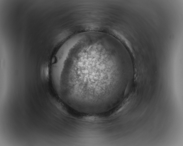 X0000088160067200705221609