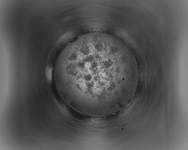 X0000088160070200705221610