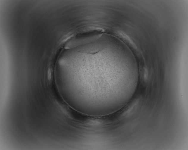 X0000088160071200705221610
