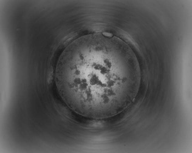 X0000088160073200705221610