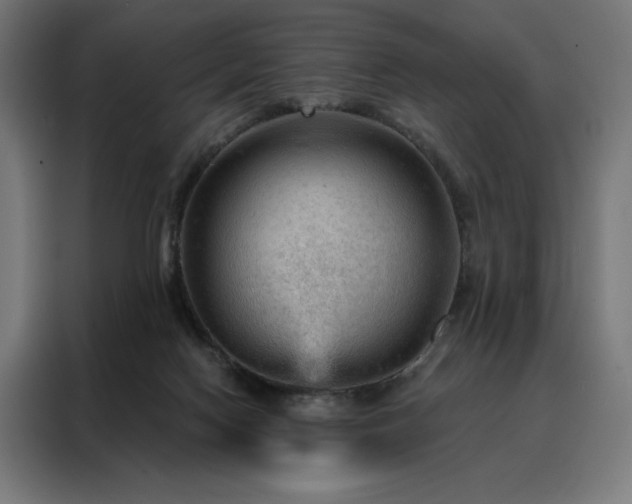 X0000088160074200705221610