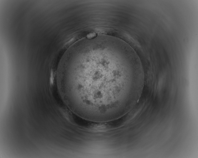 X0000088160075200705221610