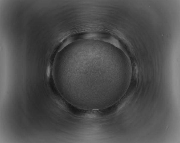 X0000088160076200705221610