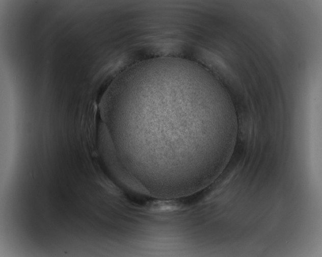 X0000088160077200705221610