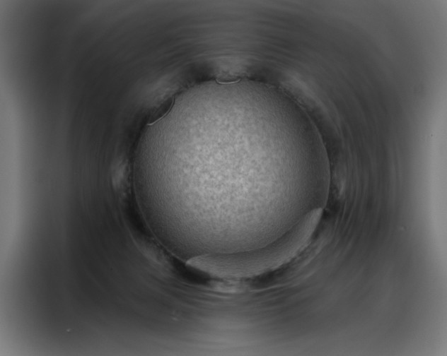 X0000088160079200705221610