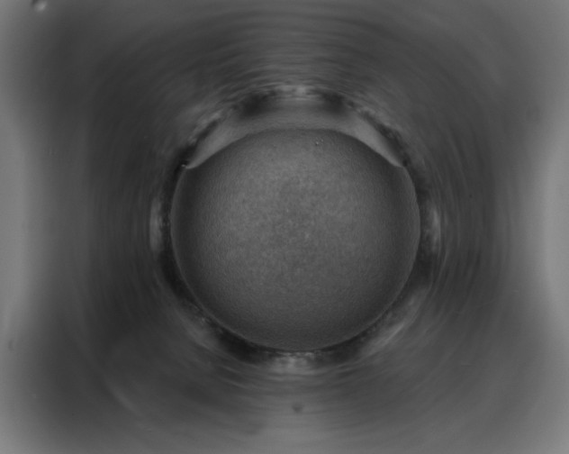 X0000088160080200705221610