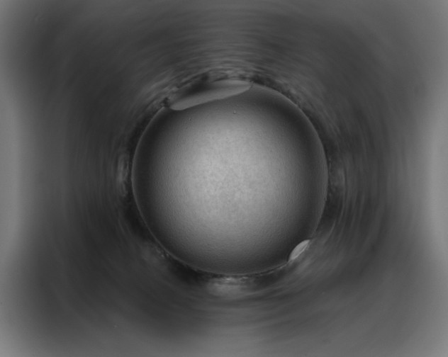 X0000088160082200705221610