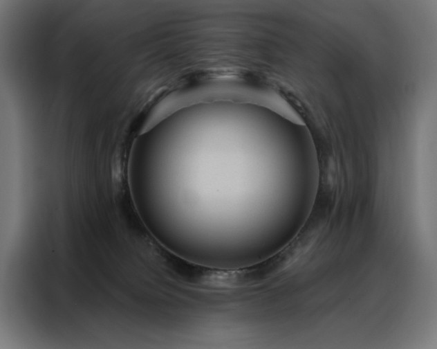 X0000088160084200705221610