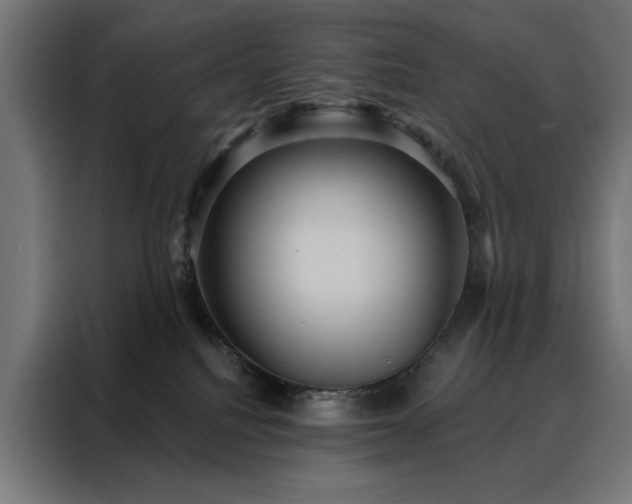 X0000088160088200705221610