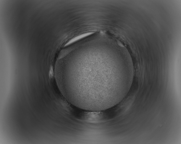X0000088160089200705221610