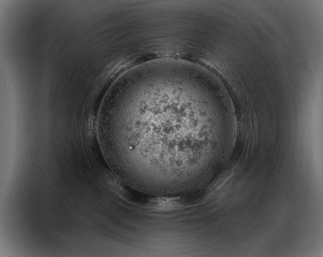X0000088160093200705221610