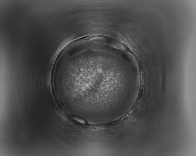 X0000088160099200705221609