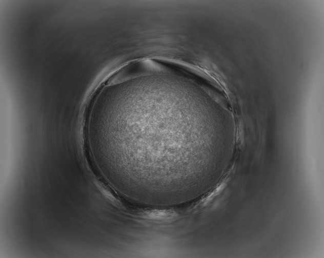 X0000088160101200705221609