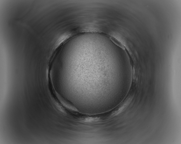 X0000088160109200705221609