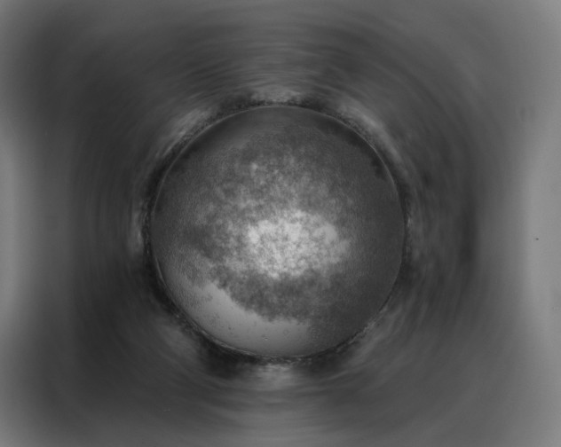 X0000088160114200705221609