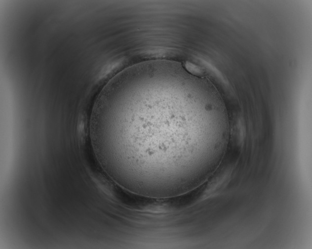 X0000088160119200705221609