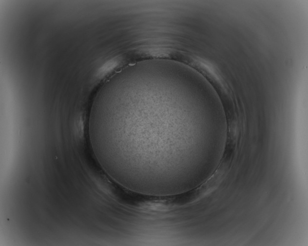 X0000088160120200705221609