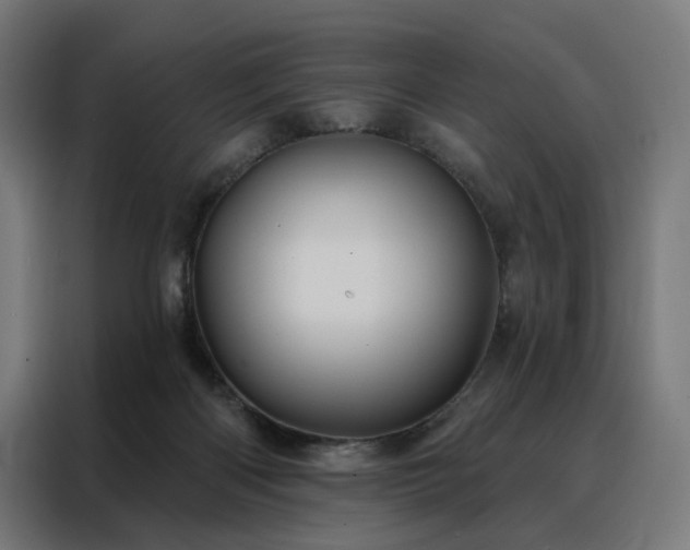 X0000088160122200705221609
