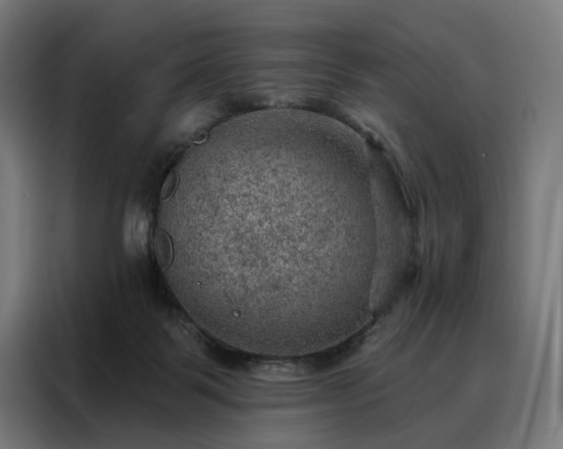 X0000088160123200705221609