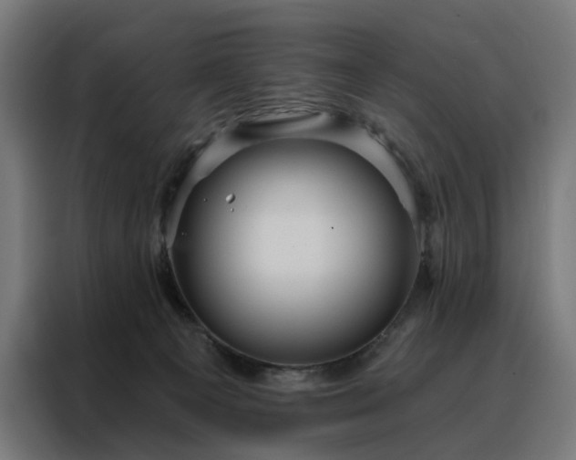 X0000088160129200705221609