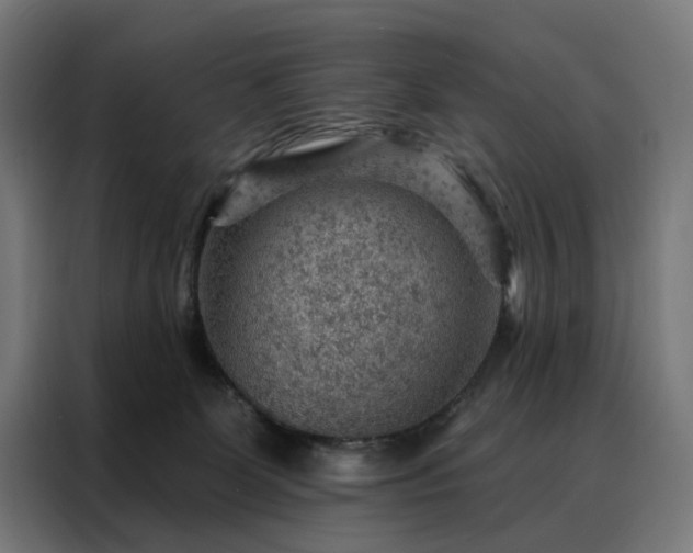 X0000088160131200705221609
