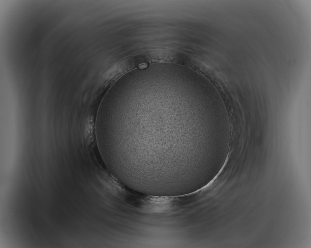 X0000088160144200705221609