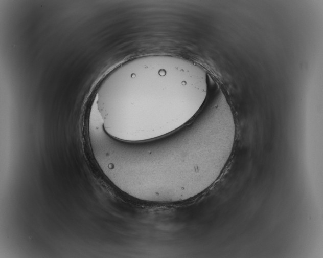 X0000088160146200705221608